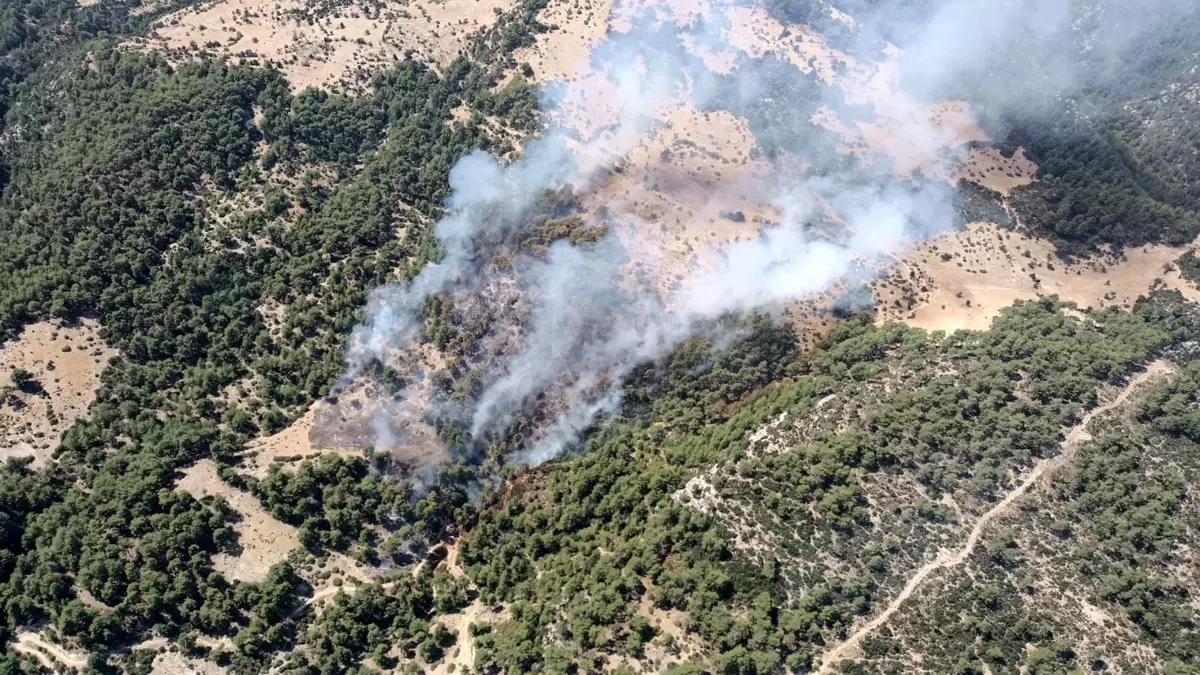 Kaş’ta Orman Yangını Çıktı